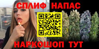 молекула духа Пыть-Ях