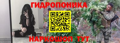 соль ск Пушкино