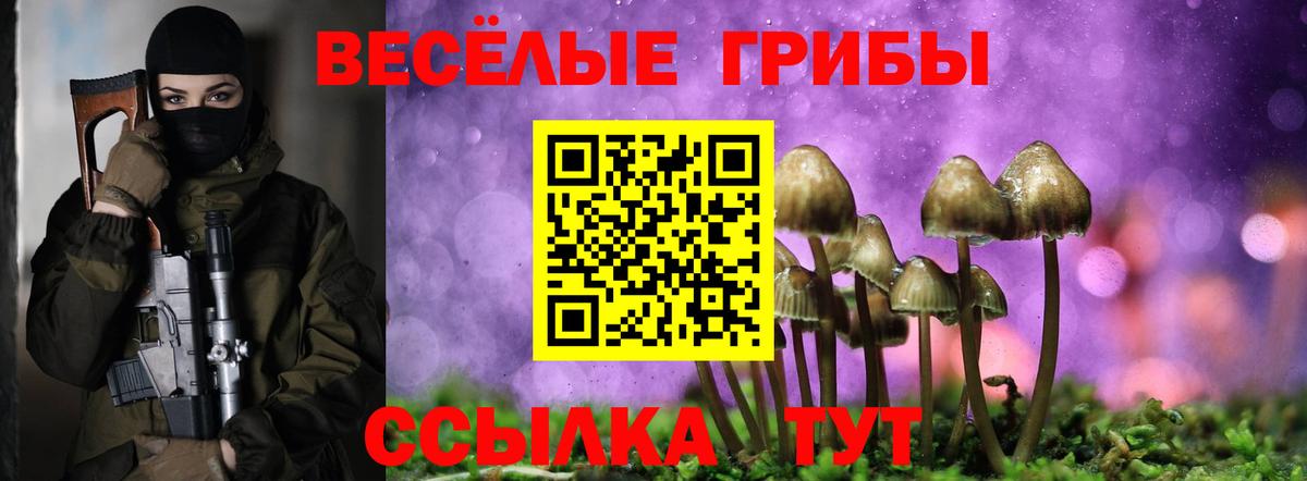 Псилоцибиновые грибы ЛСД Орск